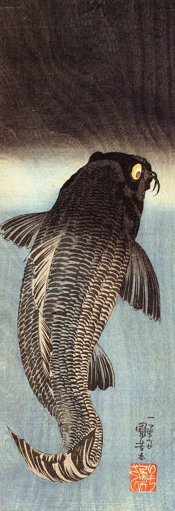 国芳「黒鯉」。