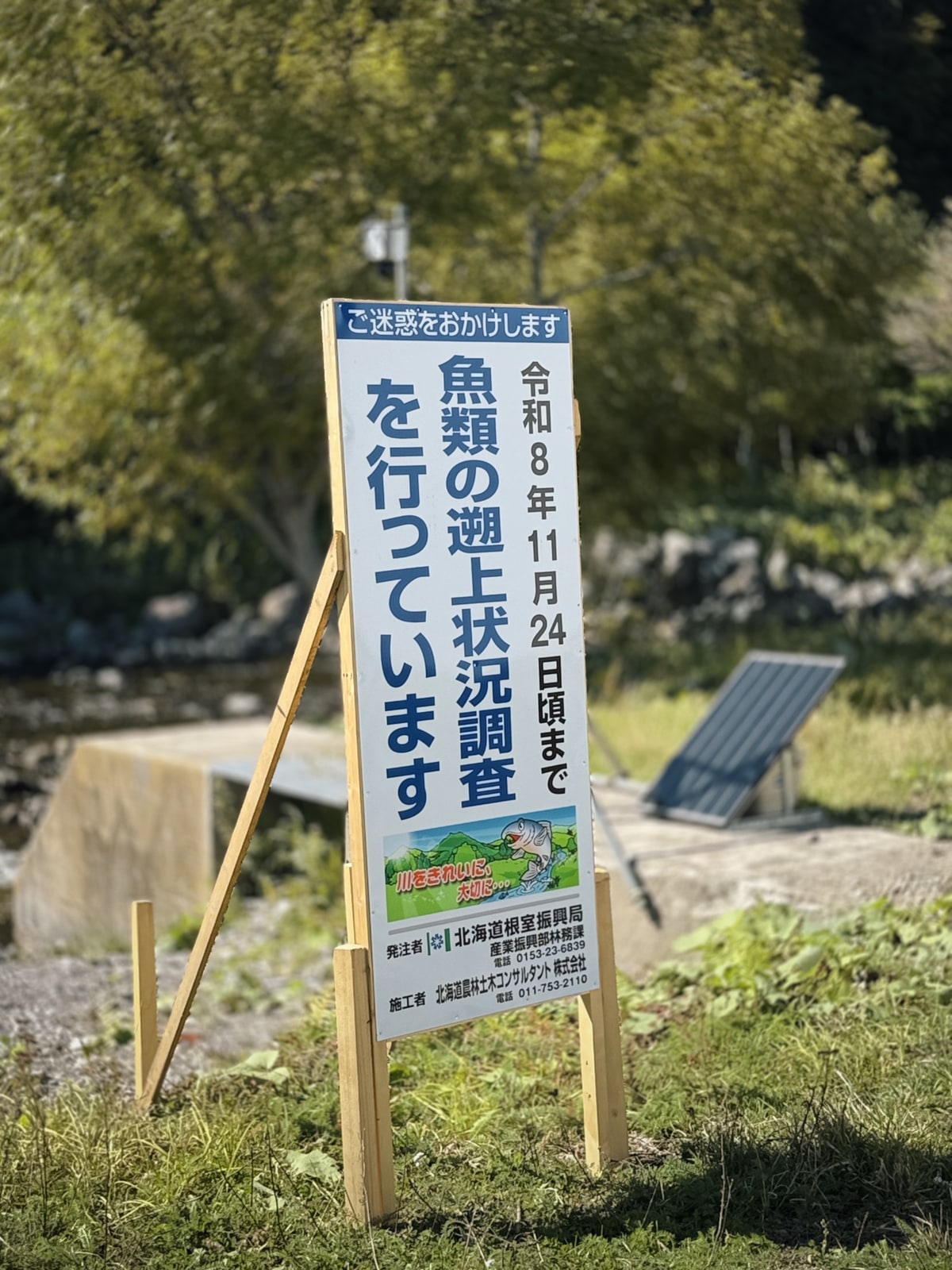 川のほとりの立て札に、令和八年十一月二十四日頃まで魚類の遡上状況調査を行っていると書いてある。背後にコンクリートの工作物と太陽光の板が見える。