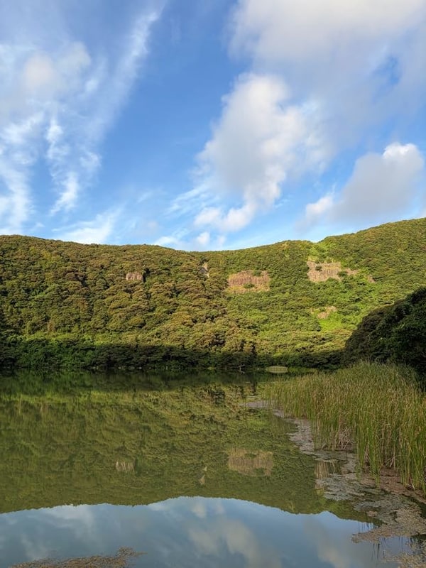 八月　渚夏日記　立ち枯れとさえずり（別立て紀行）