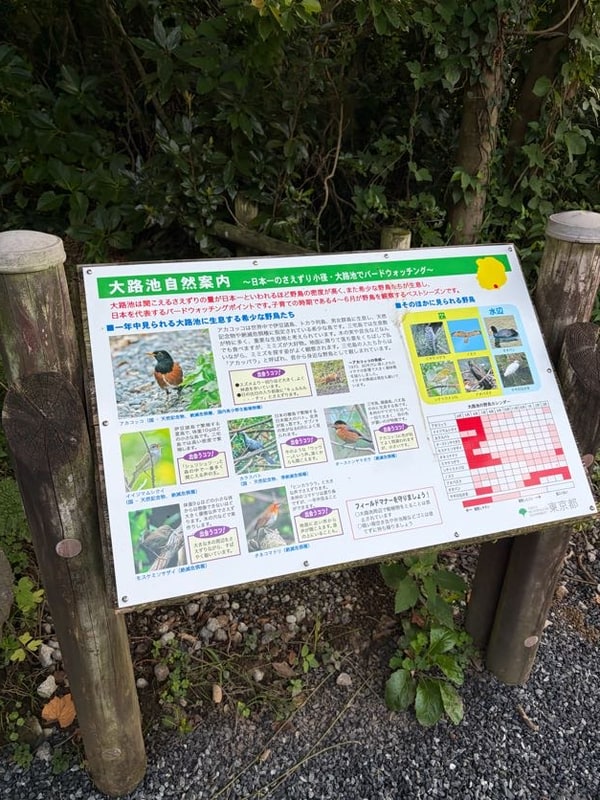 林の縁に立つ木枠の案内板。「大路池自然案内　日本一のさえずり小径」の見出しと、島の野鳥の写真が並んでいる。