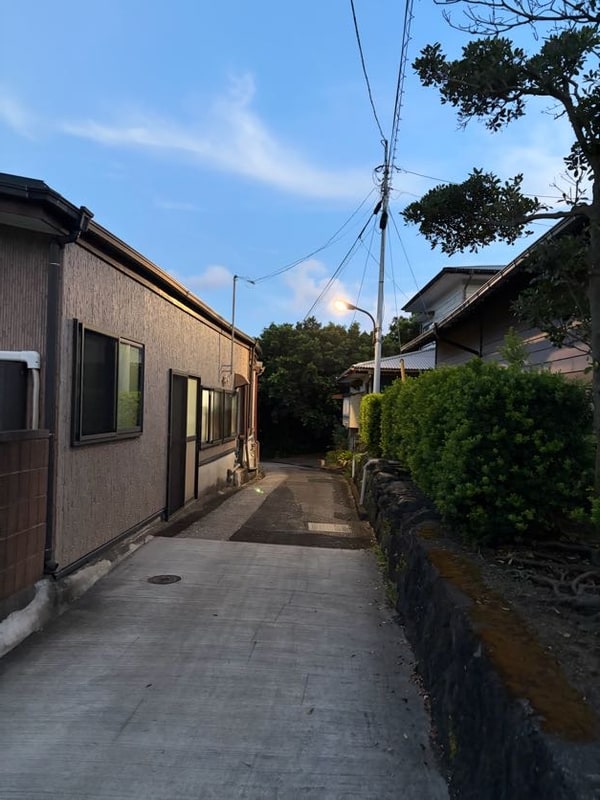 夕暮れの集落の細い坂道。左に平屋、右に石垣と生垣が続き、電線の上に白い月が出ている。