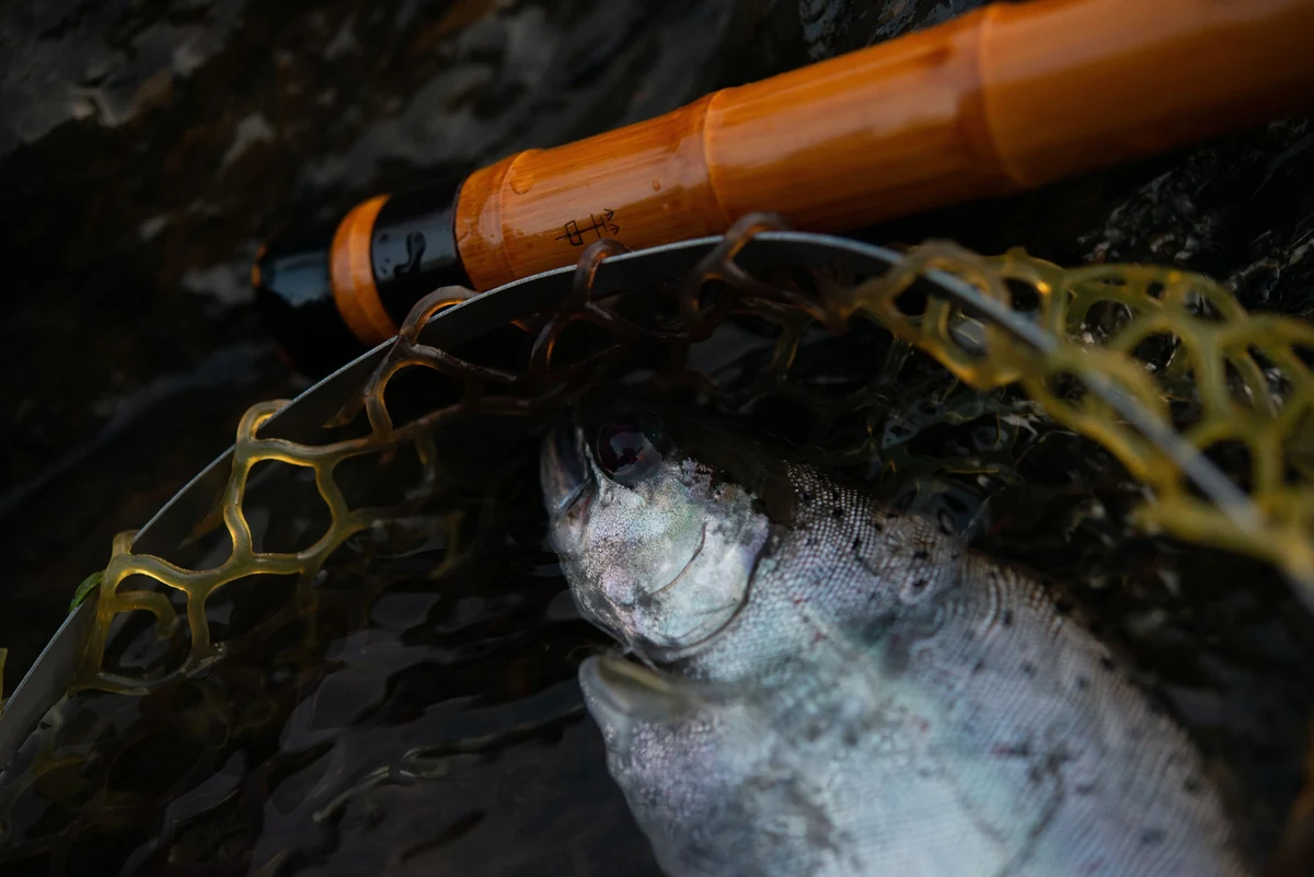 サツキマス釣行記_part1