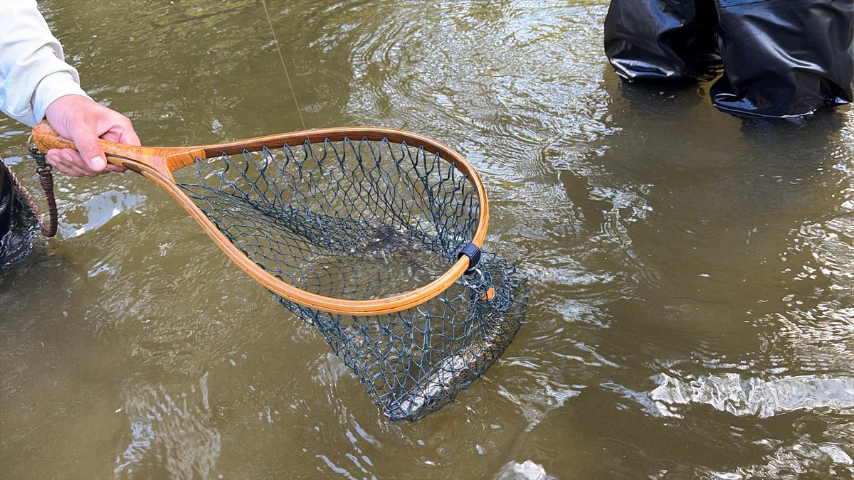 橙色の枠の玉網を川の浅瀬へ差し入れている。網の目が流れに引かれている。