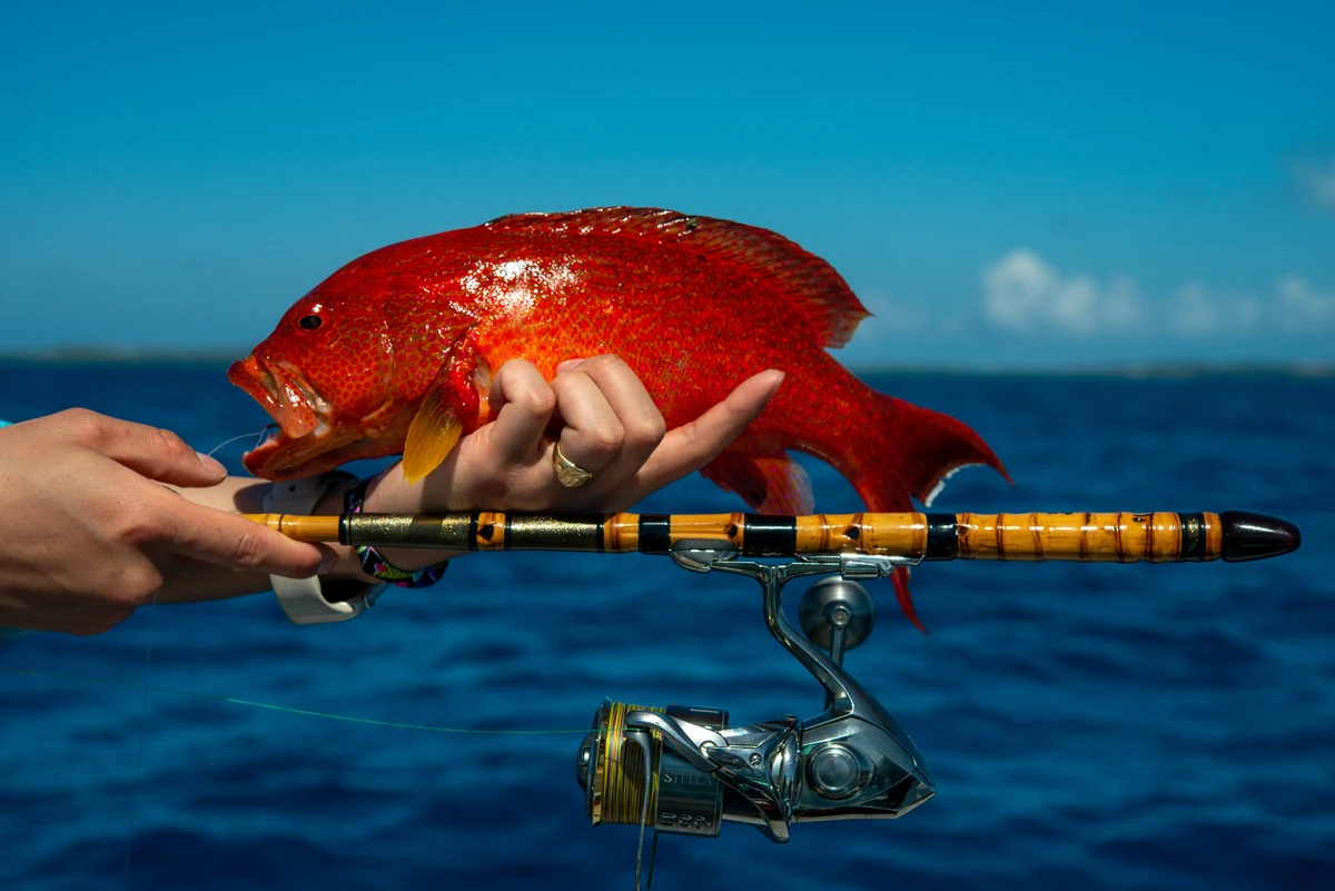 【和竿遠征01-A】石垣島ESCAPE