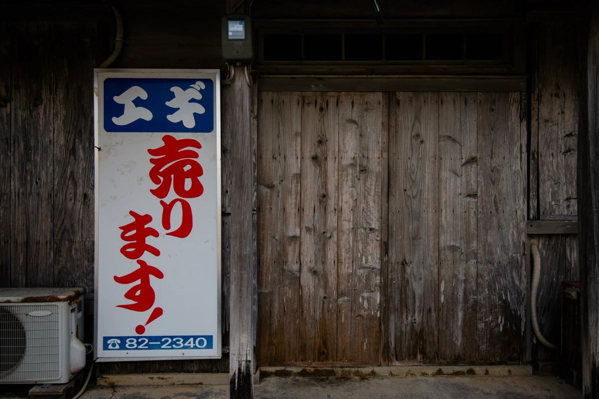 【和竿遠征01-B】石垣島人ぬエギ